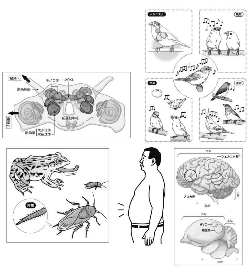 科学イラスト