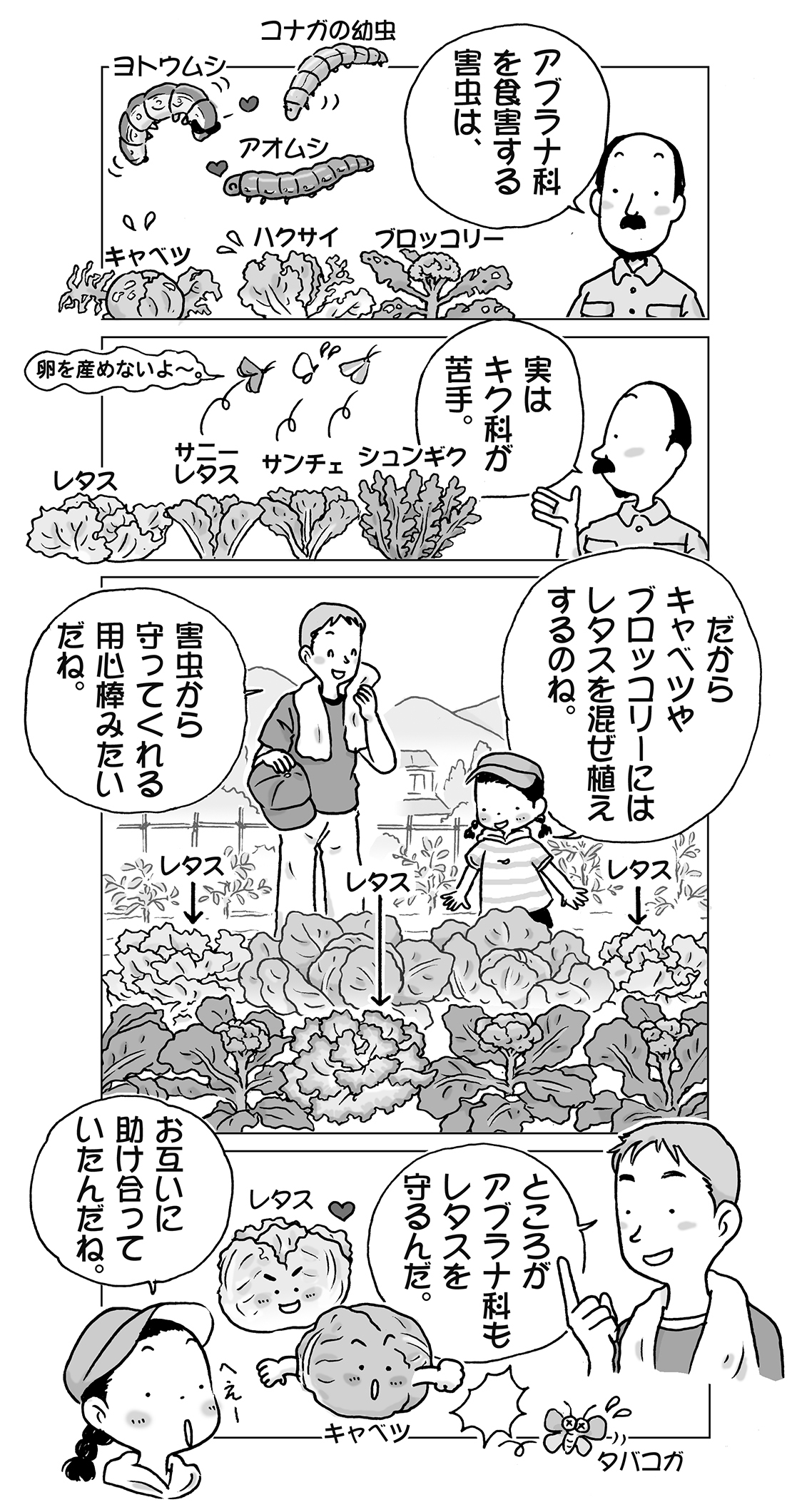 川野郁代のイラストファイル 増補改訂版 家庭菜園の裏ワザ イラスト